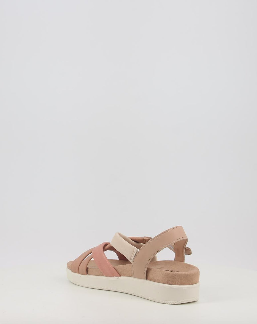 DAISY 108730