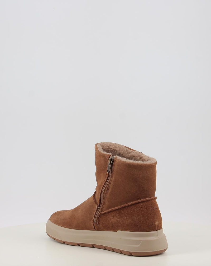 Stiefeletten PRIMIGI PIKGT 88754 leder